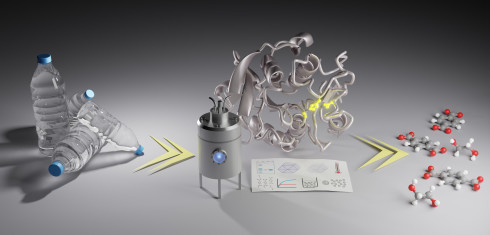 Mehr Schwung beim PET-Recycling durch hhere Standards fr Laborexperimente